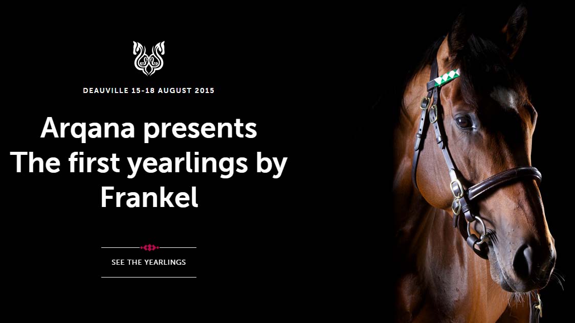 arqana frankel