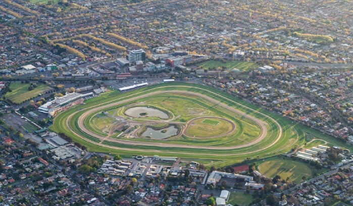 caulfield2