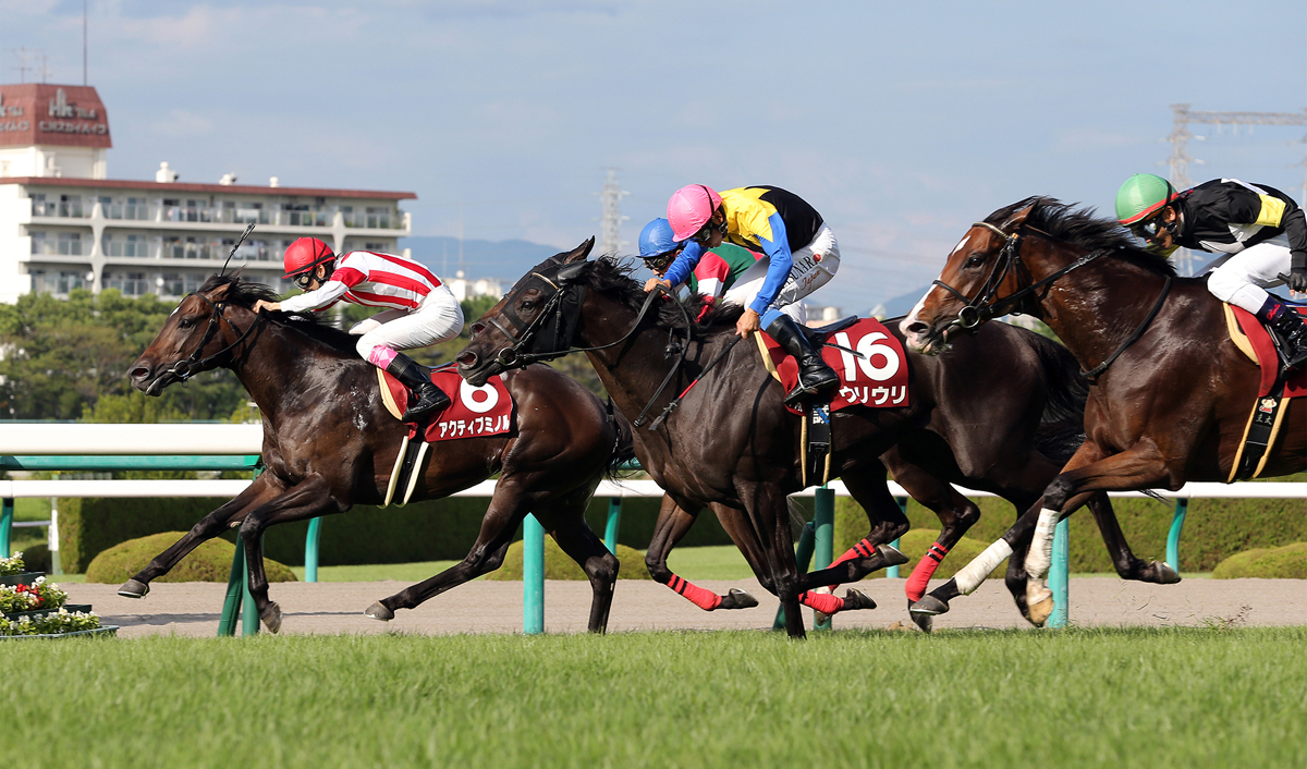 centaur stakes 2015