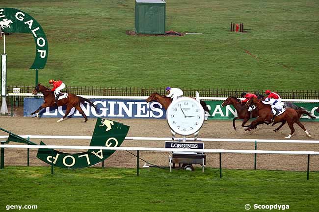 glorioso chantilly 15