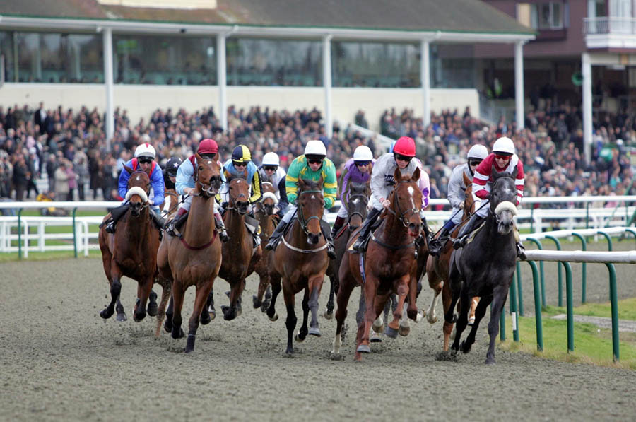 lingfield park