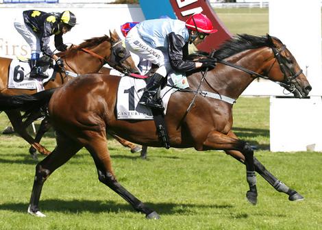nz racing
