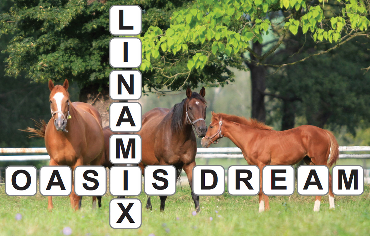 oasisdream linamix