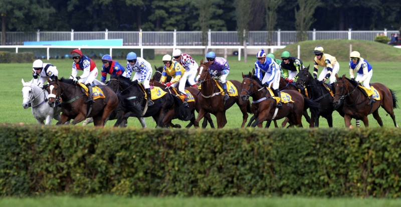 pardubice 3