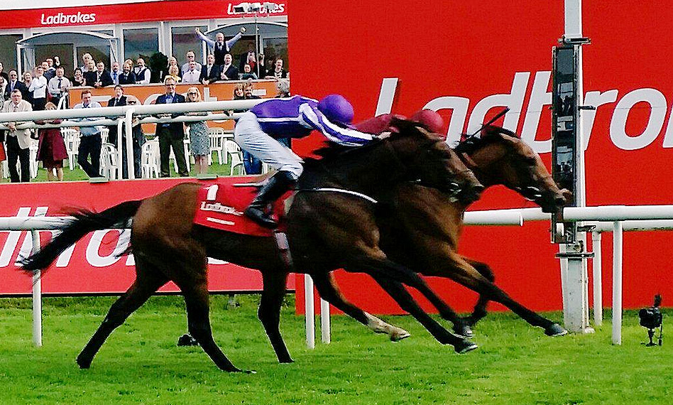 st leger 2015