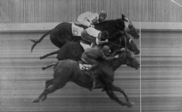triple dead heat2