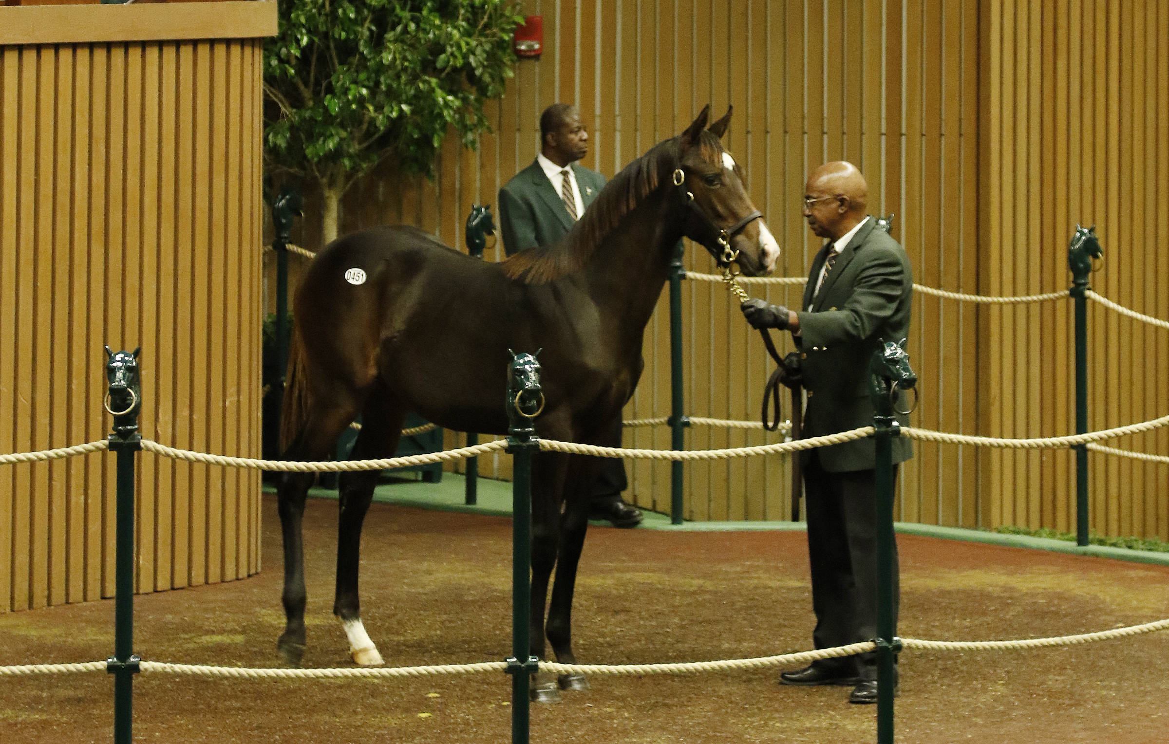 war front filly