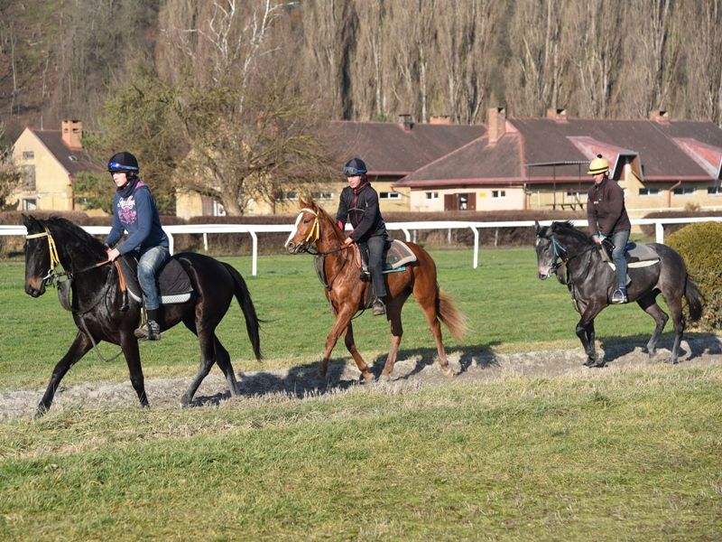 Chaloupka NNFastnetR NNLinngari Teja