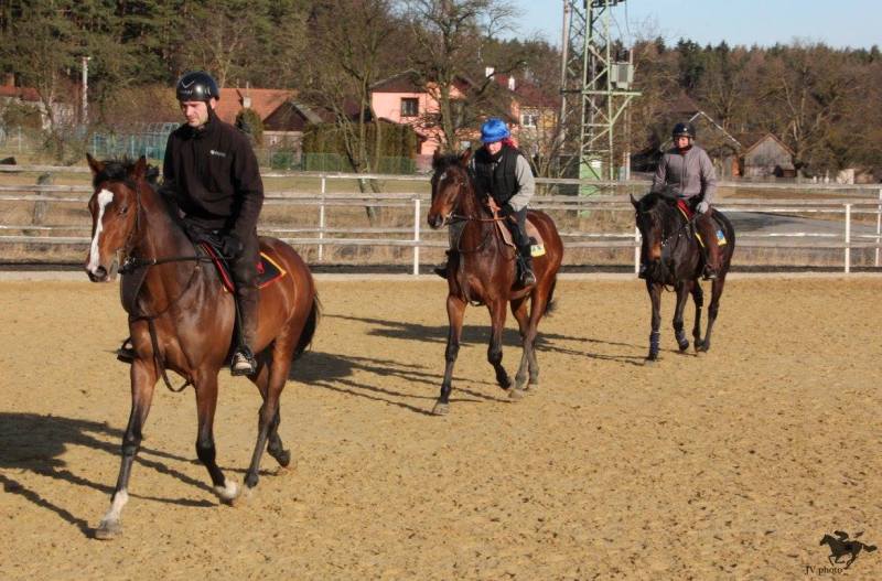 Horakova WasteNoTime NewFinch FastinatingHill