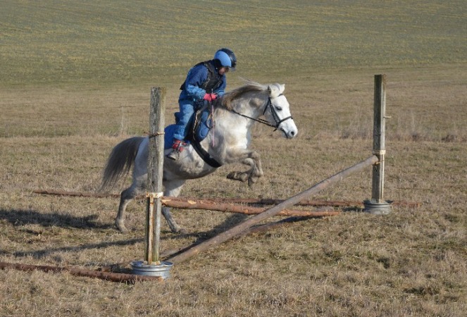 Junkova dcera pony