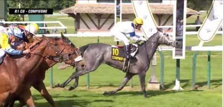 Numero Treize Compiegne