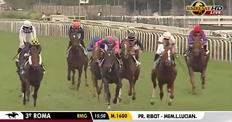 premio ribot