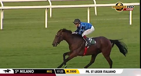st leger italiano2016