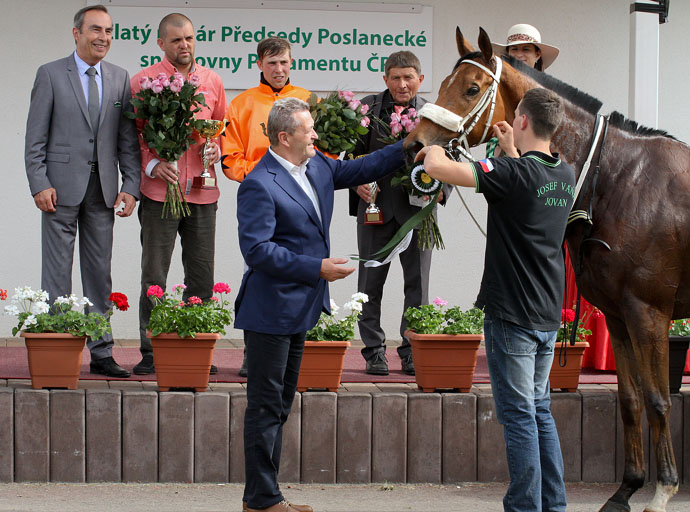 zlaty pohar 2016 ceny