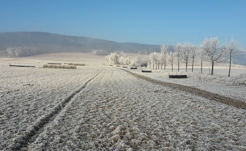 Bastova treninkovka