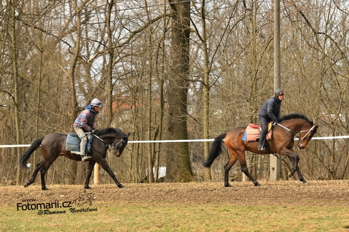 Holcak RonaldoKing Kifaaya