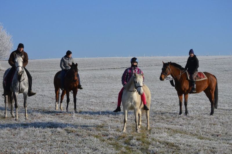 Junkova Ryana Vaxerton Cetar Blanche