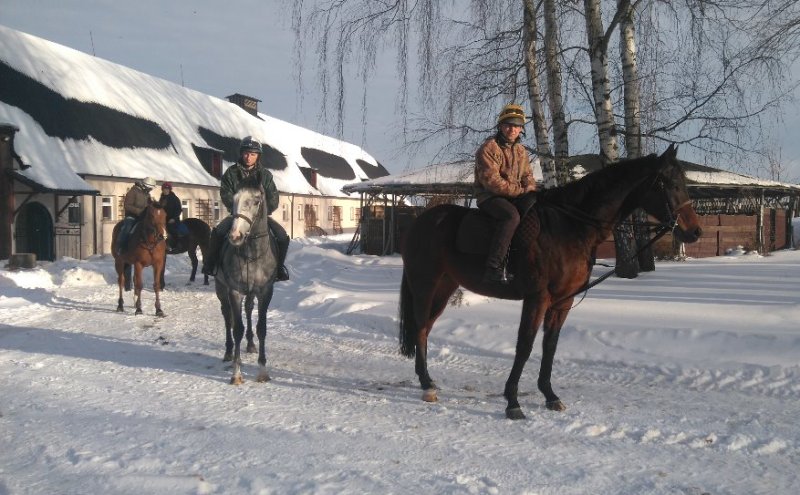 Zalud Lincoln LImprevuRoyal Jantar