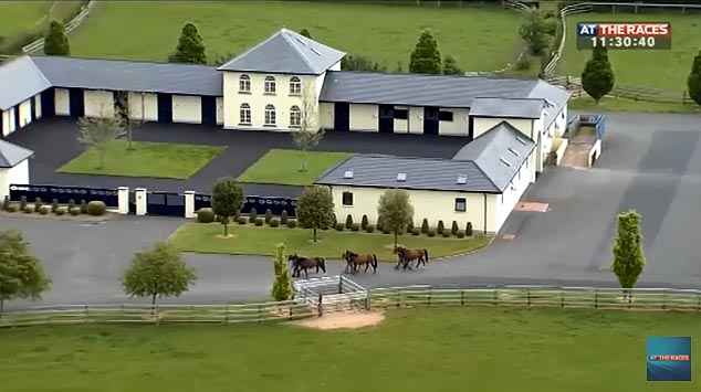 coolmore3