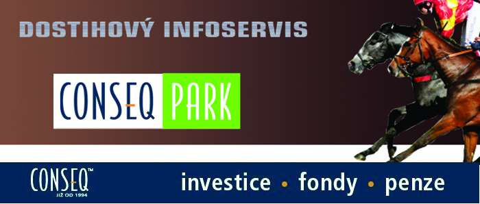 infoservis3