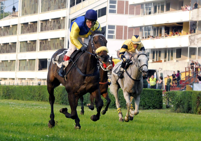 royal mougins