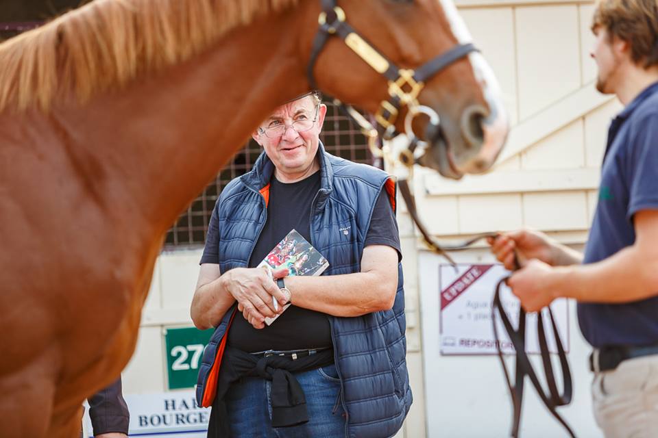 travnicek arqana