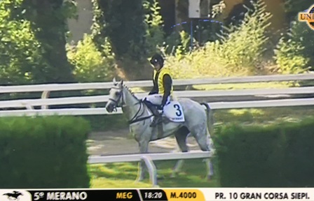 Champ de Bataille Merano