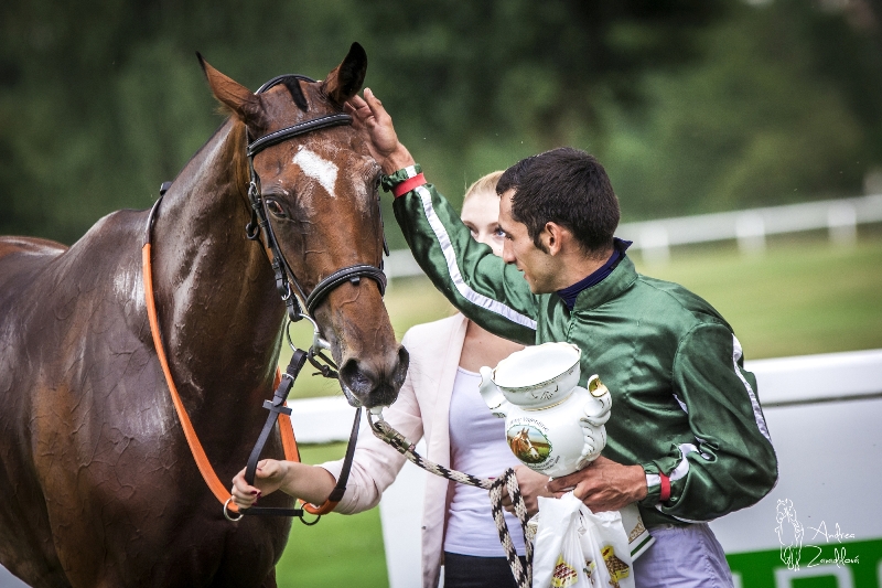 Oaks dekor