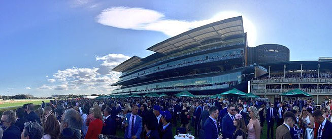 Randwick winxday