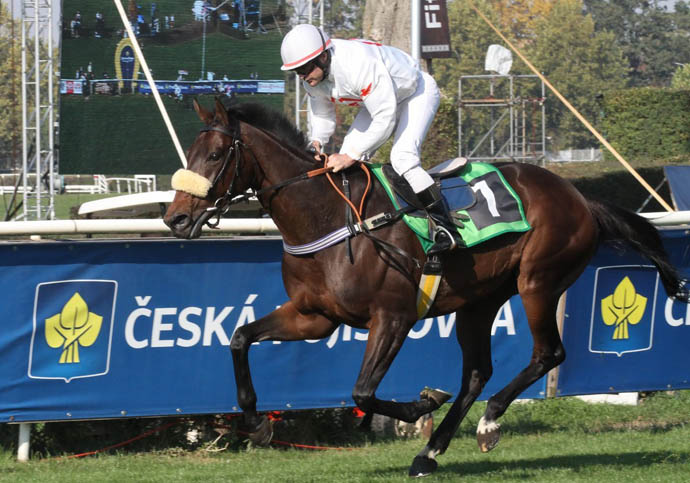 Stribrna trofej