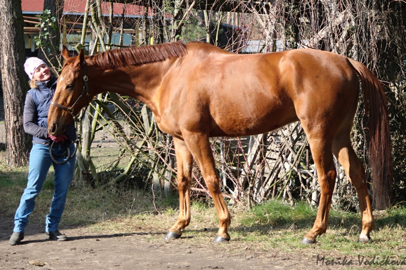 VanaT Aztek