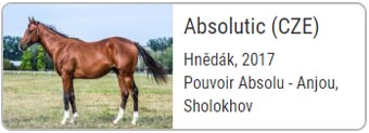 absolutic b