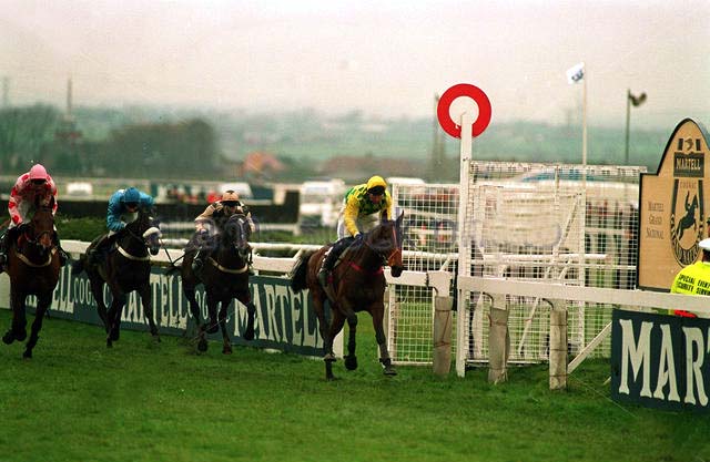 grand national 1993