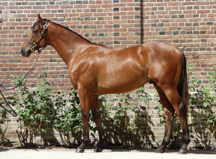 lot 190 charmspirit