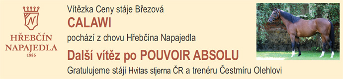 napajedla calawi