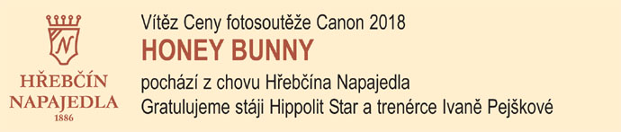 napajedla honeybunny