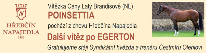 napajedla poisettia