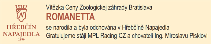 napajedla romanetta2