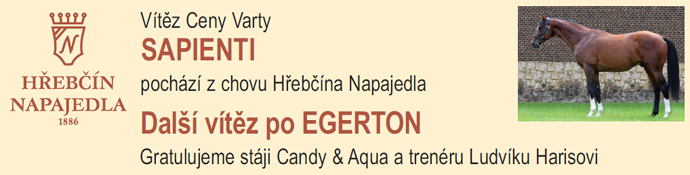 napajedla sapienti3