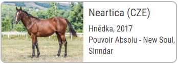 neartica b