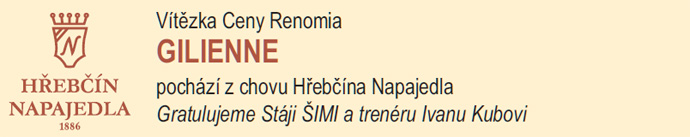 N19 gilienne3