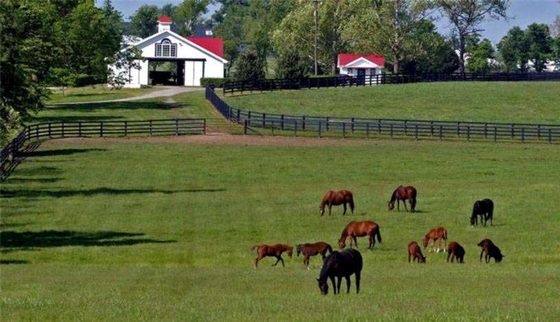 gainesway