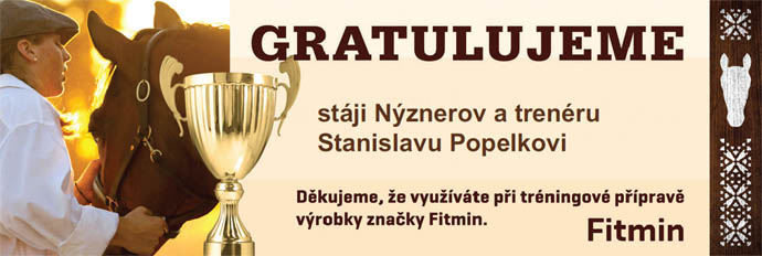 gratulace popelka2