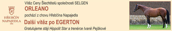 NN20 orleano