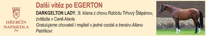 NP20 Darkgelton