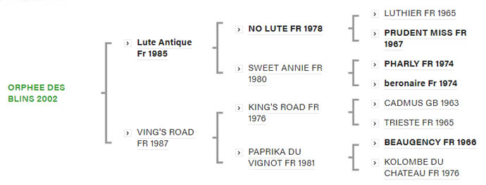 orphee pedigree