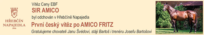 NN21 siramico