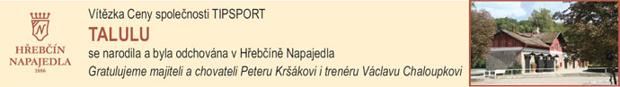 NN21 talulu