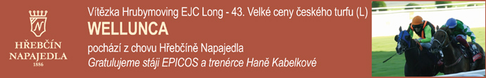 NN21 wellunca2