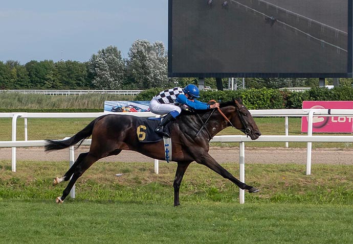 austrian derby 2021 bo